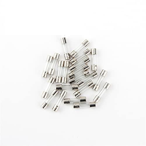 10 Stück Glassicherungen, sortiertes Kit, 5 x 20 mm, 250 V, 0,1 A, 0,2 A, 0,5 A, 1 A, 2 A, 3 A, 4 A, 5 A, 6 A, 8 A, 10 A, 15 A, 20 A, 25 A, 30 A, AMP-Röhrensicherungen JIZTGEDM (Size : 25A) von ADovz