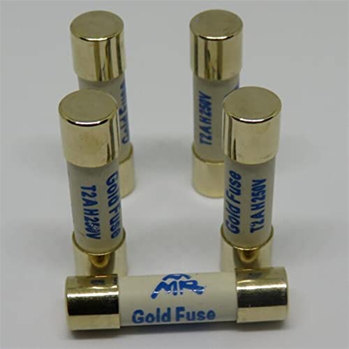 Sicherungen, versilberte Goldsicherung, Sicherung 250 V, 1 A, 2 A, 4 A, 5 A, 6,3 A, 10 A, Maße: 5 x 20 mm Sicherungen JIZTGEDM (Size : 6.3A) von ADovz