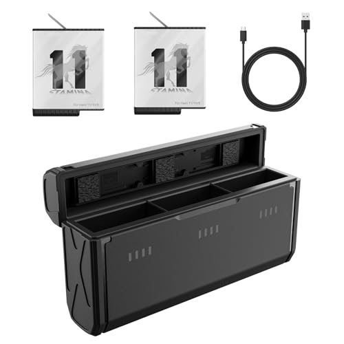 AFAITH Enduro-Akku und Schnell-Ladegerät für Go pro, Niedertemperatur-Schnell-Akku mit 2 TF-Karten für Hero 12 11 10 9 (2 Batterien und Ladekoffer) von AFAITH