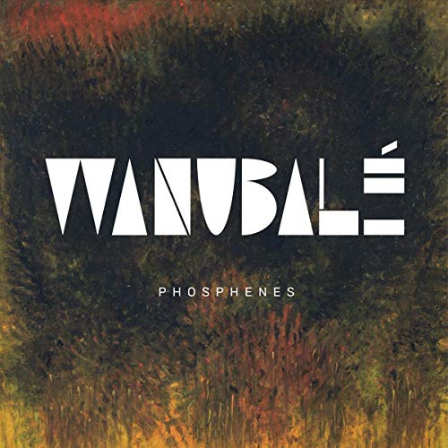 Phosphenes [Vinyl LP] von AGOGO RECORDS