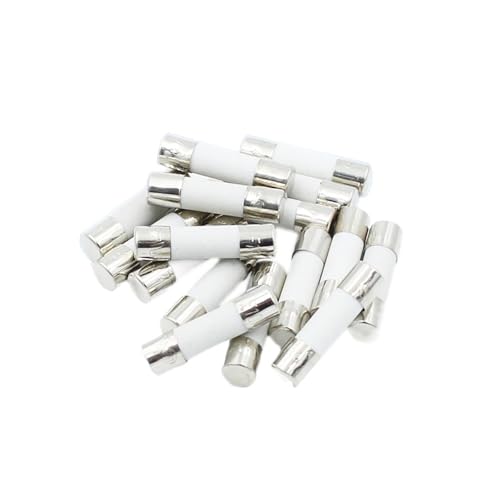 10 Stück 5 x 20 mm/6 x 30 mm schnelle Schlag-Keramik-Sicherung, 250 V, 0,1 A-30 A (2 A, 5 x 20 mm) von AIDUFUOD