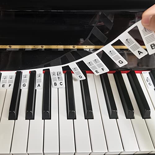 AIEX Abnehmbare Klaviertastatur Notenetiketten, Klavier Keyboard Aufkleber in Voller Größe 88 Tasten aus Silikon Kein Aufkleben Erforderlich Wiederverwendbare Bunte Piano Keyboard Stickers, mit Box von AIEX
