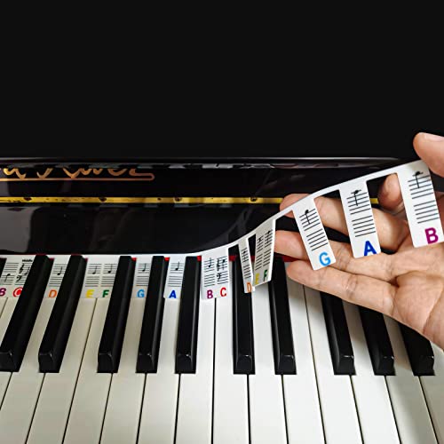 Klavier Keyboard Aufkleber, Klaviertastatur Aufkleber in Voller Größe 88 Tasten aus Silikon Kein Aufkleben Erforderlich Wiederverwendbare und Abnehmbare Bunte Piano Keyboard Stickers, mit Box von AIEX