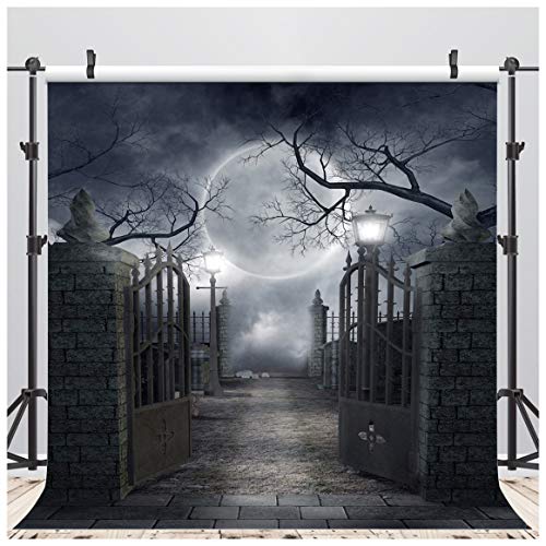 AIIKES 10x10FT Retro-Stil Halloween-Thema Malerei Vinyl Fotografie Hintergrund Schwarz Fotografie Hintergrund Mond Foto Hintergrund Studio Requisiten 10-704 von AIIKES