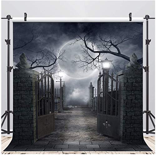 AIIKES 8x8FT Retro-Stil Halloween-Thema Malerei Vinyl Fotografie Hintergrund Schwarz Fotografie Hintergrund Mond Foto Hintergrund Studio Requisiten 10-704 von AIIKES