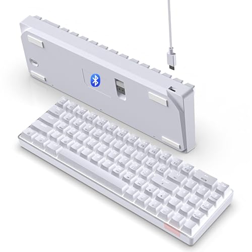 AJAZZ AK692 60% Prozent Hotswap Numberpad Mechanische Kabellose Gaming Tastatur weiß Beleuchtung Light up keypad 4000 mAh Bluetooth 5.0 Type C Wired für MacBook Laptop PC Phone PS4 - red Switch von AJAZZ