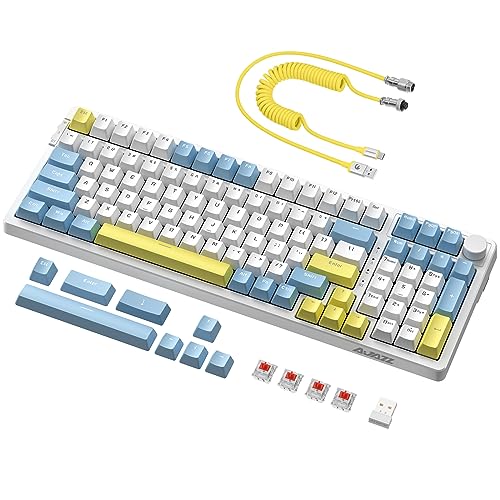 AJAZZ AK992 Gasket Mechanische Hotswap-Tastatur und gewendeltes USB-C-Kabel,RGB-Beleuchtung,4000 mAh 2,4 GHz/BT5.0/USB C,graue Custom-Gaming mit Lautstärkeregler,PBT-Tastenkappe-Blau(Roter Schalter) von AJAZZ