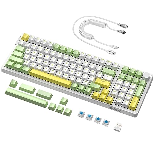 AJAZZ AK992 Hot Swap Dichtung mechanische Gaming Tastatur+gewickeltes USB-C-Kabel, 18 RGB-Beleuchtung, 2,4 GHz/BT5.0/USB-C, 99 Tasten+1 Bedienknopf, PBT Tastenkappen, für PC/Win/Mac (Blauer Schalter) von AJAZZ