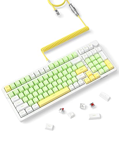 AJAZZ Mechanische Gaming-Tastatur mit 96% Hot-Swap-fähiger Dichtung und speziell gewickeltem USB-C-Kabel, Triple Mode 2.4G/BT5.1/Wired 99Keys with Knob, 4000 mAh, White Backlit (Green-Red Switch) von AJAZZ