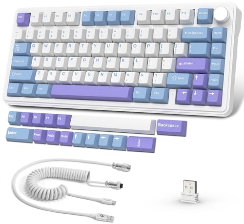 AJAZZ x Attack Shark X85 Mechanische Dichtungstastatur,75% kabellose Gaming-Tastatur mit Knopf,5-Lagige Polsterung,2,4G Kabellos/Bluetooth/USB-C,Hot-Swap-Linearschalter,RGB,für PC,MAC (Weiß Lila) von AJAZZ