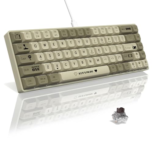 AK680 65% kabelgebundene Hotswap-Mechanische Gaming-Tastatur, 68 Tasten tragbar Anti-Ghosting, Regenbogenbeleuchtung programmierbar, Eva-Sandwich, ergonomisch, Ärmelbrauner Schalter für MAC/Win-Grau von AJAZZ