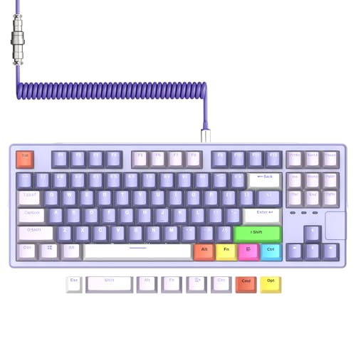 AK873PRO-XINMENG X87 75% Wired Gaming Tastatur, Custom Pre-Lubed Switch TKL 80% Gasket Mechanische Tastatur, Light Up QWERTY Color PBT Keycap 87 Anti-Ghosting, Spiral USB-C Kabel für PC/Mac - Lila von AJAZZ