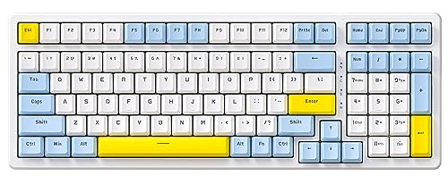 Ajazz Mechanische Gaming-Tastatur, Hot Swappable mechanische Tastatur mit Ziffernblock, kompakte USB-Tastatur, 100 Tasten, Double-Shot ABS Tastenkappen, N-Key Rollover RGB Custom Tastatur für PC Mac von AJAZZ