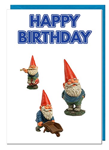 Geburtstagskarte – Garten Gnome Mottoparty – Dad – Mann – Brother – Sohn – Grandad – Boyfriend von AK Giftshop