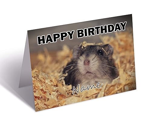 Geburtstagskarte mit Hamster-Motiv von AK Giftshop