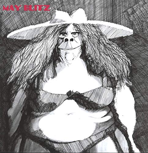 May Blitz [Vinyl LP] von Super-Skin
