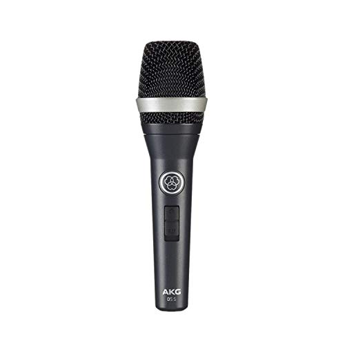 AKG D 5 S Vocal Mikrofon m. Schalter von AKG