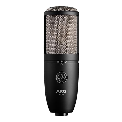 AKG P420 Echtes Hochleistungs-Doppelkapsel-Kondensatormikrofon – Schwarz von AKG