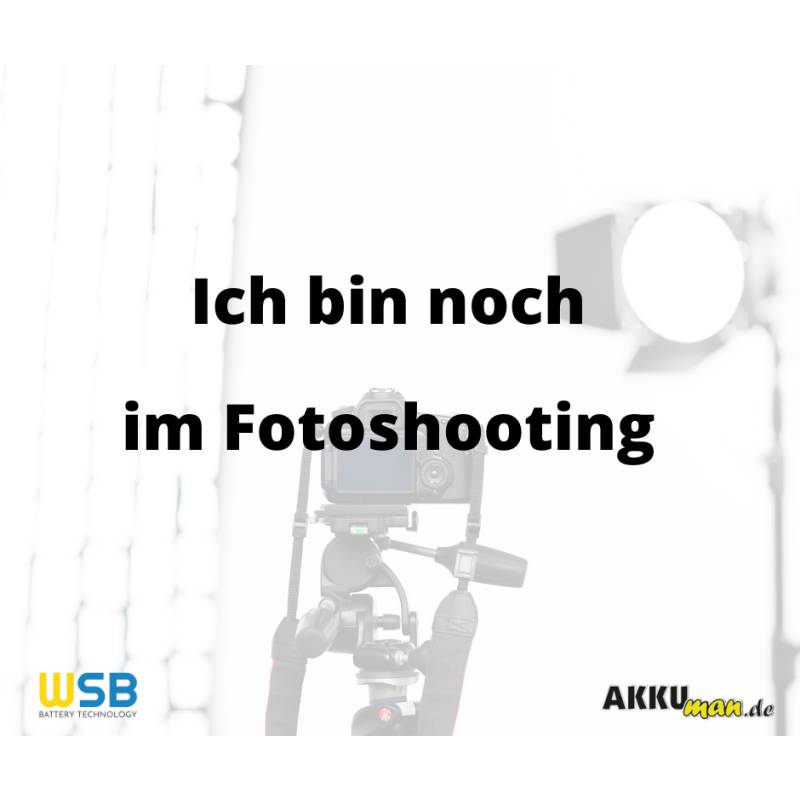 Ersatzakku passend zu GE Healthcare EKG Mac1600 Typ 2032095-001 2035701-001 von AKKUmed