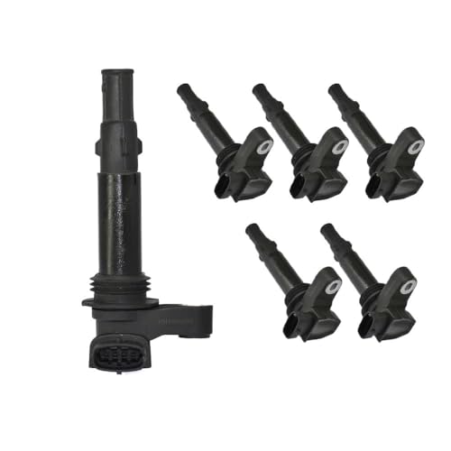 Zündschlüsselschalter 1/6 Stück Zündspule Für Holden Für Adventra Für Opel Für Signum Für Vauxhall Für Signum Für Buick Allure Oem 0221604104 12566569 12583514 12629037 Zündschalter(6PCS) von AKOUFALL