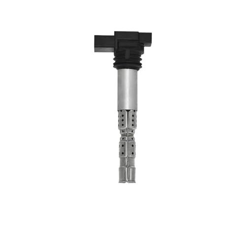 Zündschlüsselschalter Für A8 Für Quattro 6,0 L W12 1/4 Stücke Zündspule Auto Teile Auto Zubehör Oem 07c905115 07c905115c 07c905115d Zündschalter(1PCS) von AKOUFALL