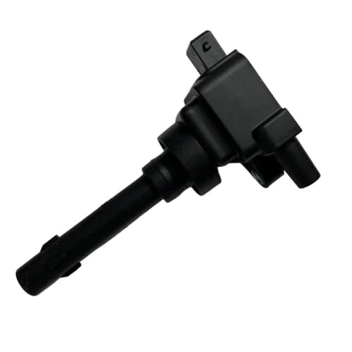 Zündschlüsselschalter Zündspule E4g13-3705110 Für Chery Für Arrizo 5/7/2 Für 1,6 L Sqre4g16 Motormodelle F01r00a041 F01r00a093 Zündschalter von AKOUFALL