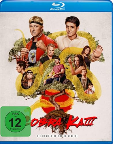 Cobra Kai - Staffel 3 [Blu-ray] von AL!VE