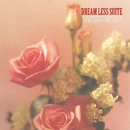 Dream Less Suite (2lp) [Vinyl LP] von AL!VE
