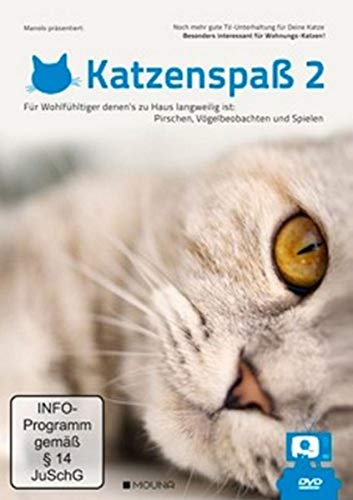 Katzenspaß Teil 2: Noch mehr gute TV-Unterhaltung für Deine Katze von AL!VE