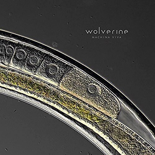 Machina Viva von SENSORY