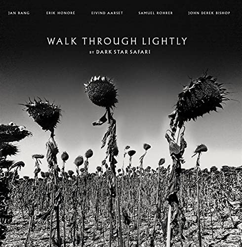 Walk Through Lightly [Vinyl LP] von AL!VE