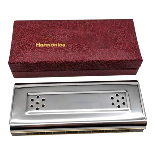 Mundharmonika C Dur 10 16 24 Loch Doppelseitige Mundharmonika Tremolo Diatonisch Blues C Und G(16 hole) von ALFAAL