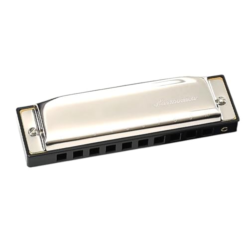 Mundharmonika C Dur 10 Loch Blues Mundharmonika In C Tonart Standardbereich(Silver) von ALFAAL