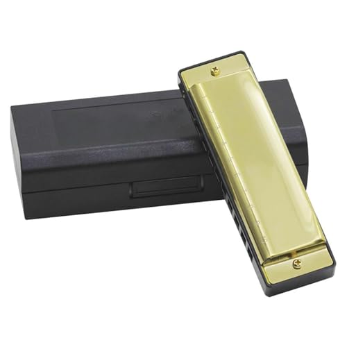 Mundharmonika C Dur 10 Löcher 20 G Ton Mundharmonika Mit Etui Erwachsene Anfänger Musikalisches Geschenk(Gold) von ALFAAL
