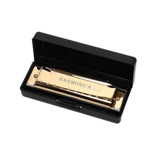 Mundharmonika C Dur Diatonische Mundharmonika In C Tonart 10 Löcher Mit Instrumentenkoffer Für Anfänger(Golden) von ALFAAL