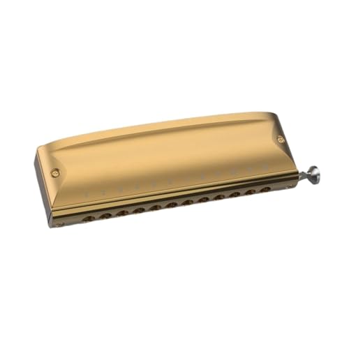 Mundharmonika C Dur Geeignet Für Anfänger Und Erwachsene Professionelle Chromatische Mundharmonika Mit 12 Löchern(Gold C) von ALFAAL