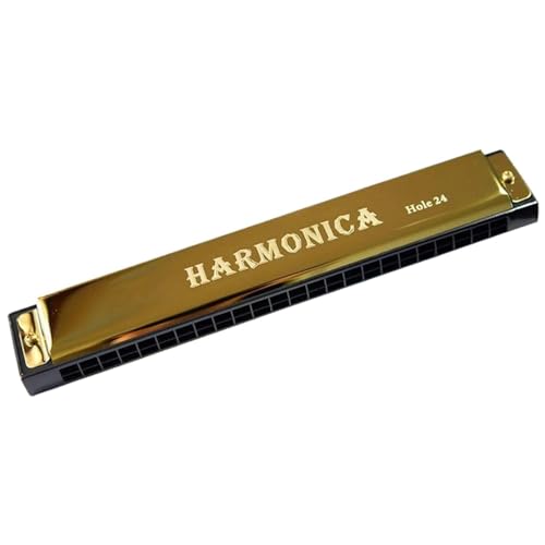 Mundharmonika C Dur Mundharmonika Für Anfänger 24 Löcher Tonart C Mit Etui(Gold) von ALFAAL