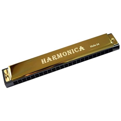 Mundharmonika C Dur Mundharmonika Für Erwachsene Musikliebhaber 24 Loch Mundharmonika In C Tonart Mit Etui(Gold) von ALFAAL