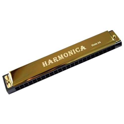 Mundharmonika C Dur Professionelle 24 Loch Mundharmonika In C Tonart Mit Etui(Gold) von ALFAAL