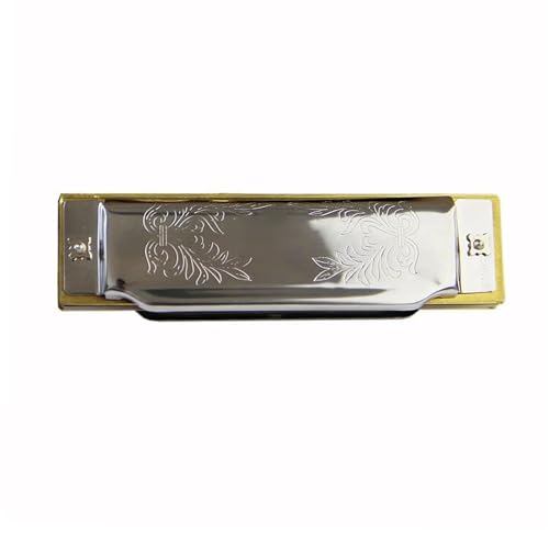 Mundharmonika C Dur Professionelle Diatonische Blues Mundharmonika Mit 10 Löchern Tonart C(Key of D) von ALFAAL