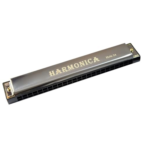 Mundharmonika C Dur Professionelle Mundharmonika Für Anfänger Und Erwachsene 24 Loch Mundharmonika Mit C Stimmung(Silver) von ALFAAL