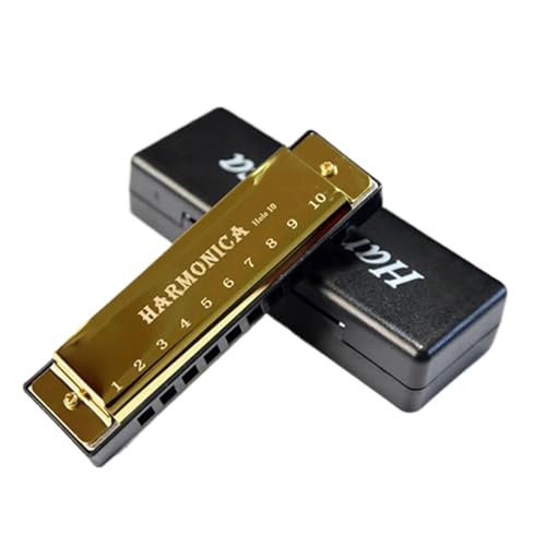 Mundharmonika C Dur Professionelle Mundharmonika In Tonart C 10 Löcher Diatonisch Mit Etui(Gold) von ALFAAL
