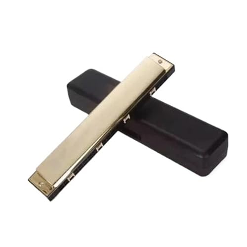 Mundharmonika C Dur Professionelle Tragbare Mundharmonika In C Tonart Mit 24 Löchern Klarer Ton Perfekt Für Anfänger(Gold) von ALFAAL