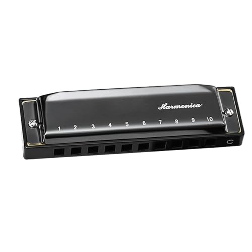 Mundharmonika C Dur Silbernes 10 Loch Blues Mundharmonika Instrument In C Tonart(Black) von ALFAAL