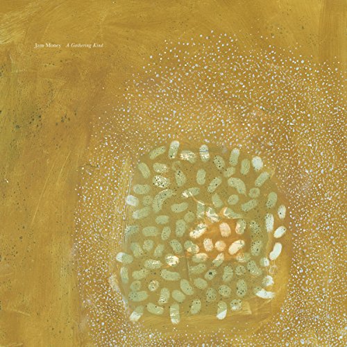 A Gathering Kind [Vinyl LP] von ALIEN TRANSISTOR
