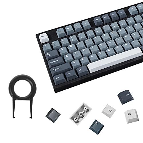 173 Tasten Keycaps Apollo PBT Cherry Profile Double Shot Retro Geeignet für Mechanische Gaming-Tastatur für Cherry MX Switches Grau und weiß von ALINZO