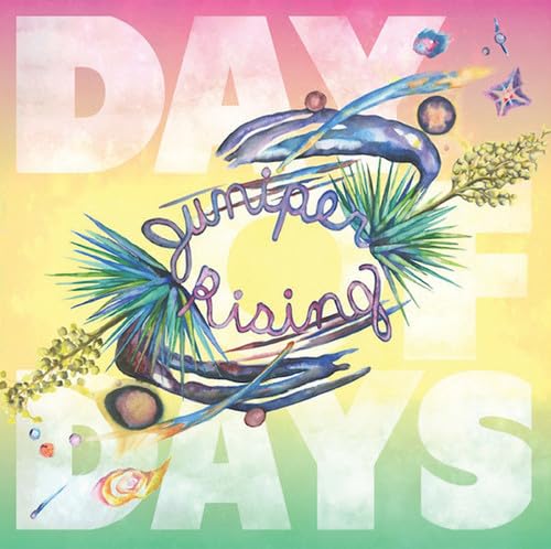 Day of Days [Vinyl LP] von ALLEGRO