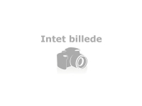 NFC Tags 13.56MHz NXP NTAG216 classic Schlüsselanhänger (ALL_NFC_TAG_13,56MHZ) von ALLNET