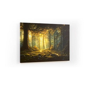 ALLboards Magnettafel CANVASboards 90,0 x 60,0 cm Märchen Wald ALLboards Magnettafel CANVASboards 90,0 x 60,0 cm Märchen Wald von ALLboards