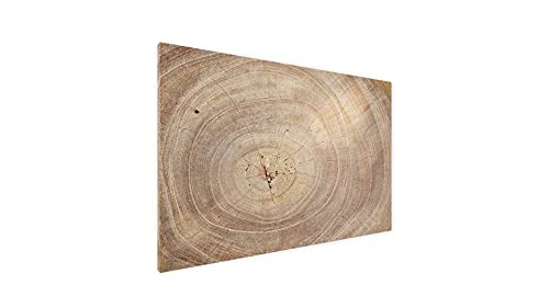 ALLboards Metallische Magnettafel BAUMSTAMM NATUR BAUMKERN 60x40cm MetalBoards Memoboard für jede Art von Magneten Magnetpinnwand zum Beschriften + 2 Marker, 6 Magnete und Schwamm im Lieferumfang ALLboards Metallische Magnettafel BAUMSTAMM NATUR BAUMKERN 60x40cm MetalBoards Memoboard für jede Art von Magneten Magnetpinnwand zum Beschriften + 2 Marker, 6 Magnete und Schwamm im Lieferumfang von ALLboards